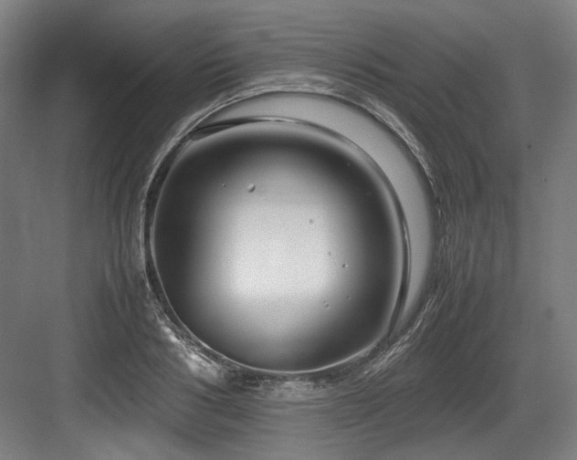 X0000083660986200702121211