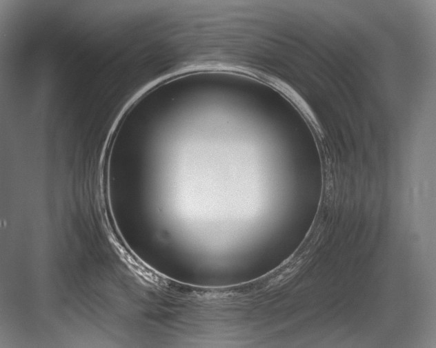 X0000083661004200702121211