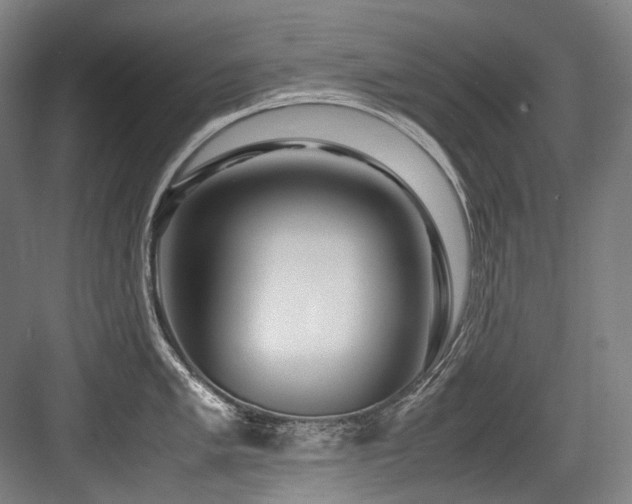 X0000083661005200702121211