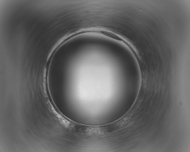 X0000083661006200702121211