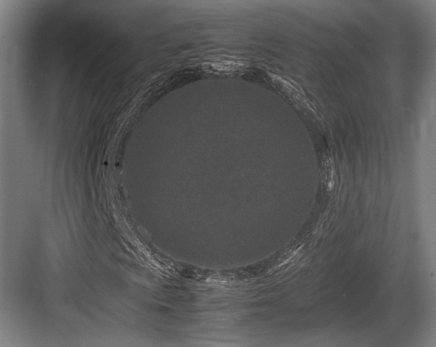 X0000083661009200702121210