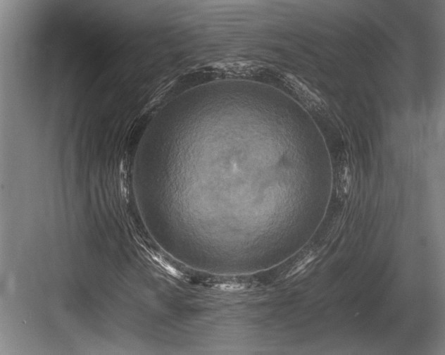 X0000083661010200702121210