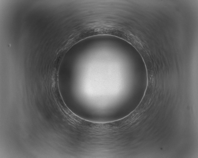 X0000083661012200702121210