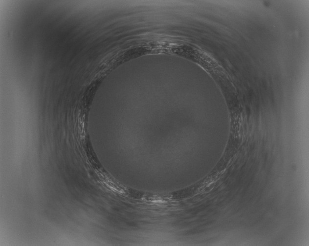 X0000083661013200702121210