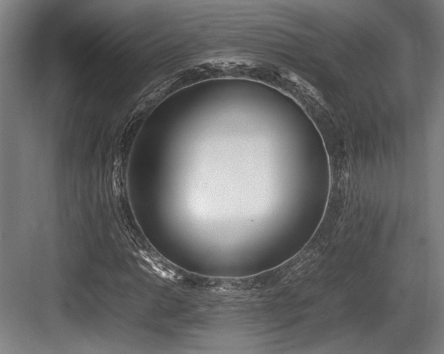 X0000083661014200702121210