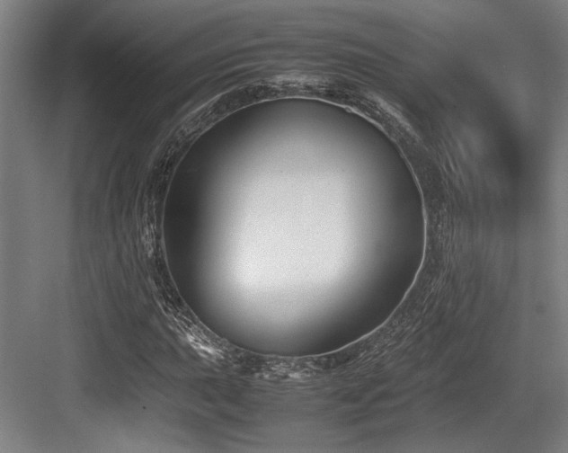 X0000083661015200702121210