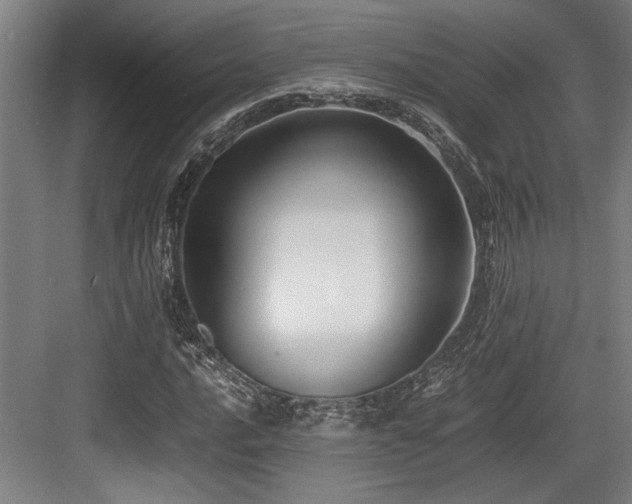 X0000083661016200702121210