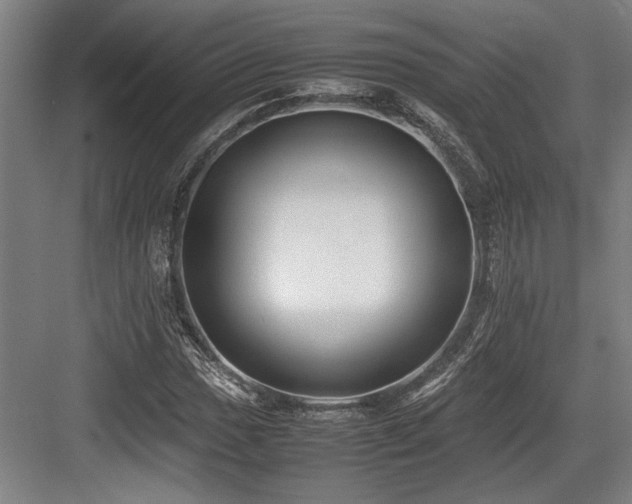 X0000083661017200702121210