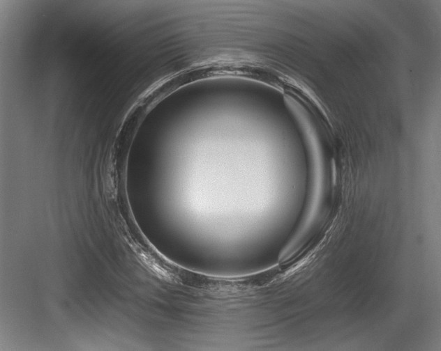 X0000083661018200702121210