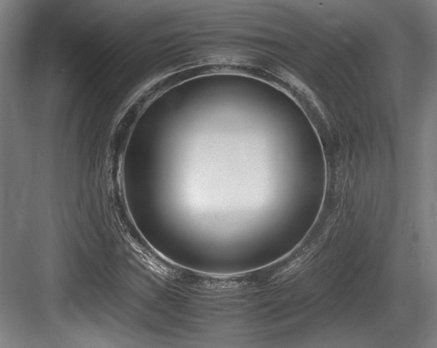 X0000083661019200702121210