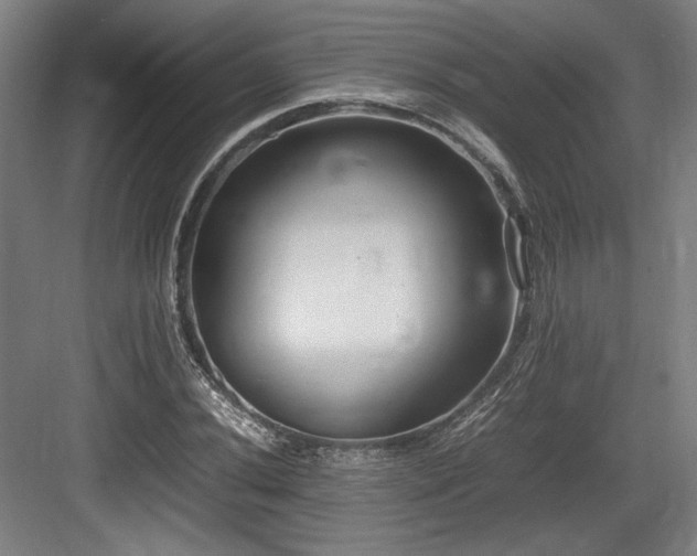 X0000083661020200702121210