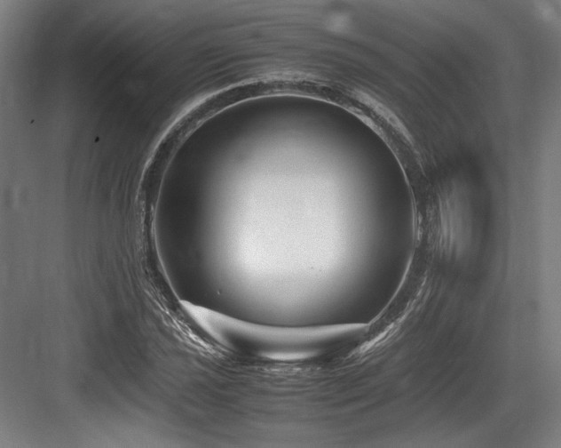 X0000083661021200702121210
