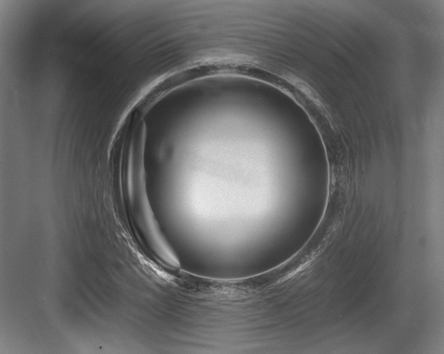 X0000083661022200702121210