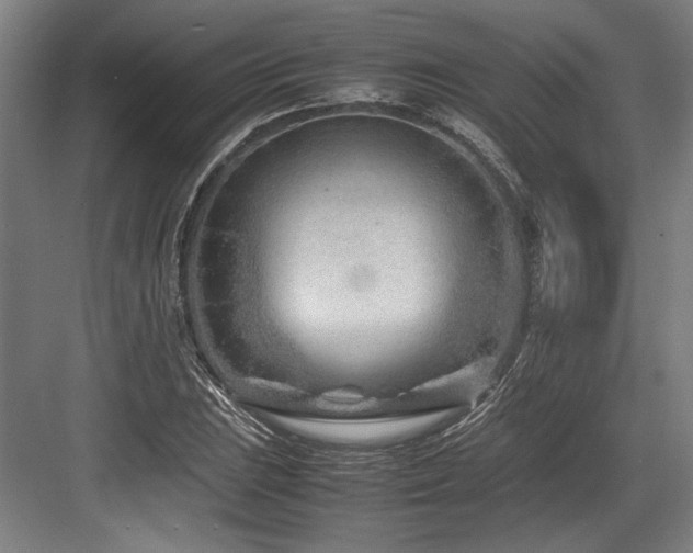 X0000083661023200702121210