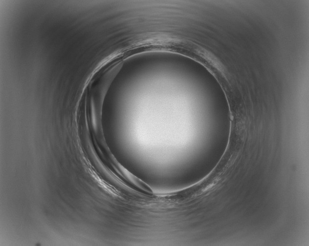 X0000083661026200702121210