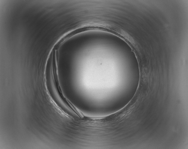 X0000083661028200702121210