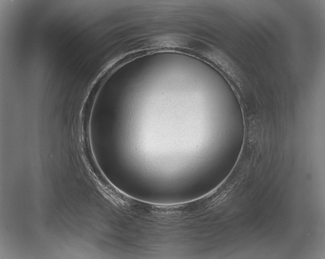 X0000083661031200702121210