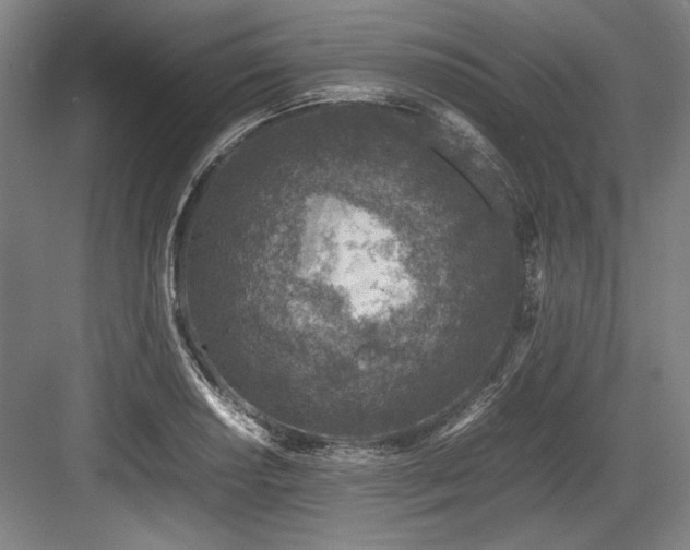 X0000083661034200702121210