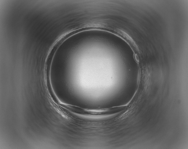 X0000083661035200702121210
