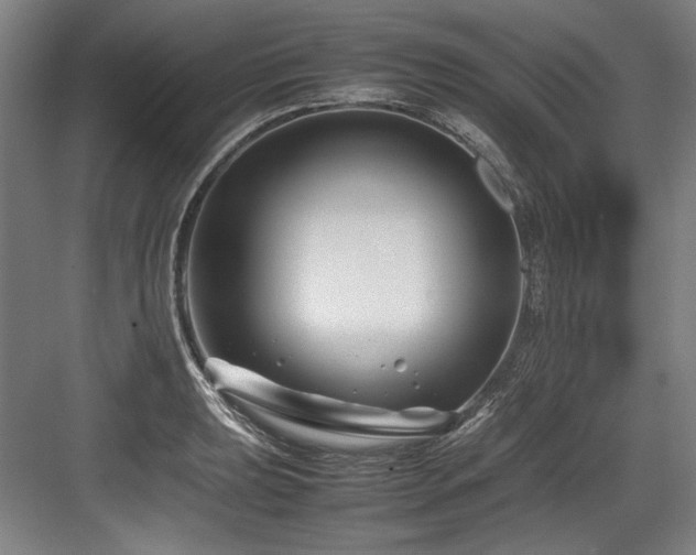 X0000083661039200702121210