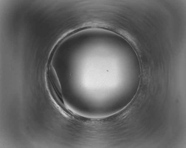 X0000083661040200702121210