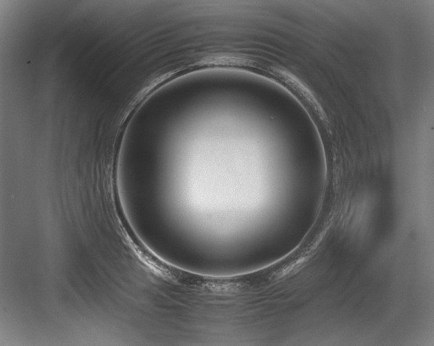 X0000083661041200702121210