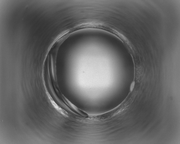 X0000083661042200702121211