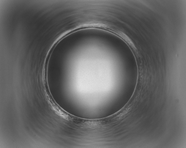 X0000083661044200702121211