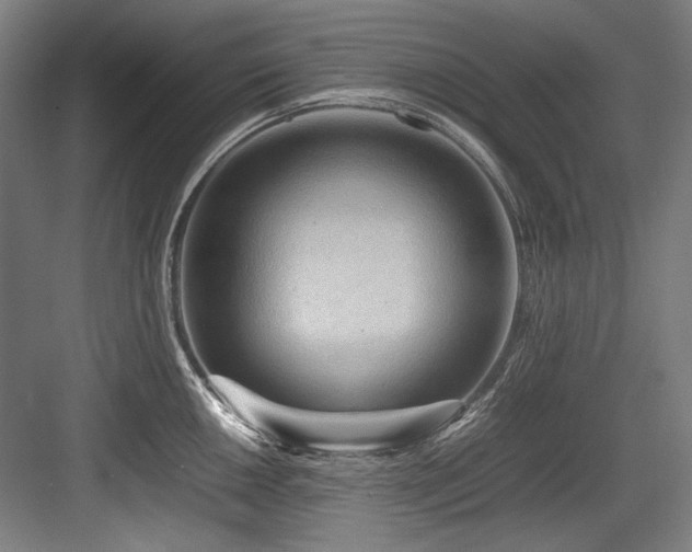 X0000083661050200702121211