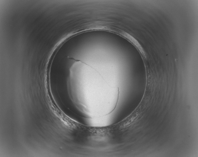 X0000083661051200702121211