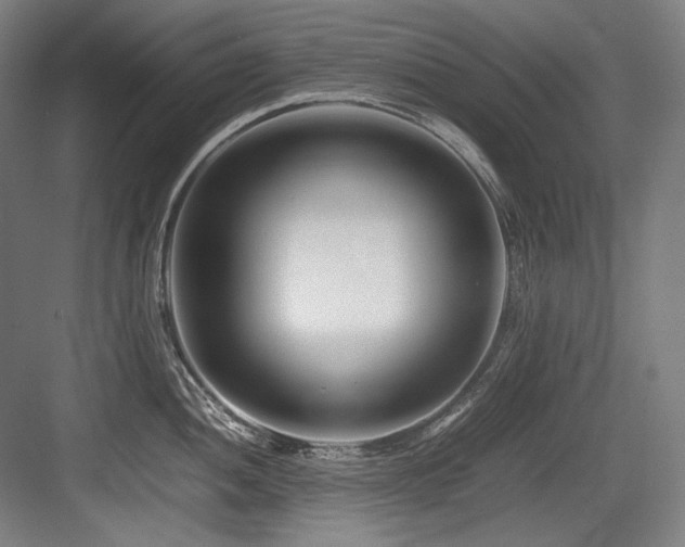 X0000083661052200702121211