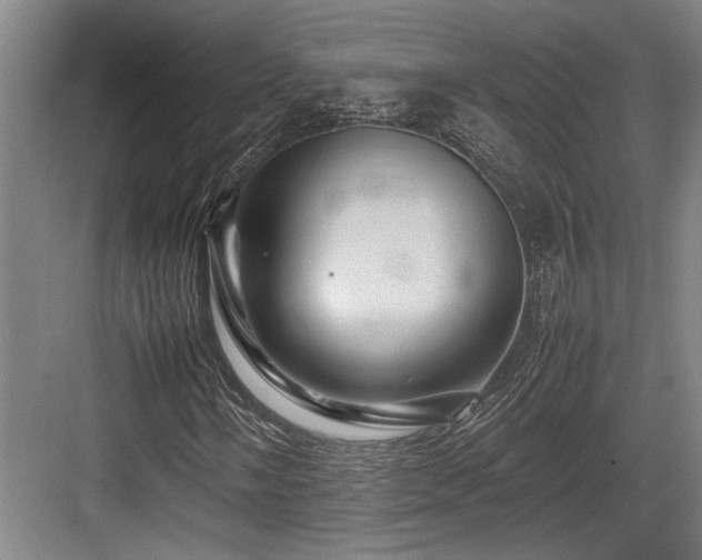 X0000083661058200702121210