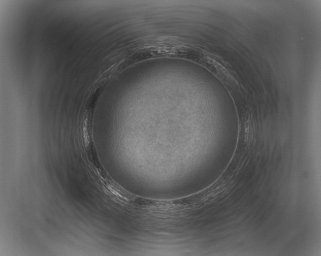 X0000083661060200702121210