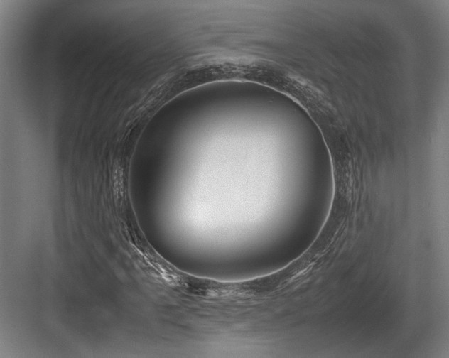 X0000083661061200702121210