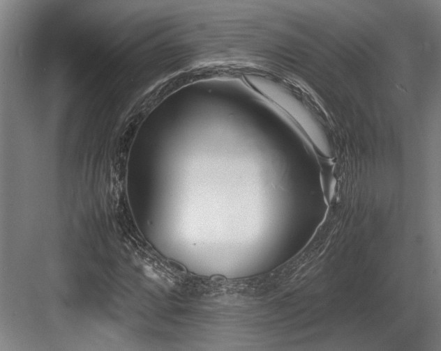 X0000083661064200702121210