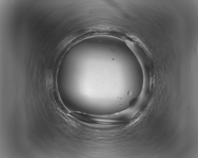 X0000083661065200702121210