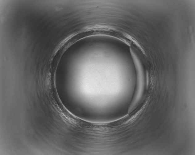 X0000083661066200702121210