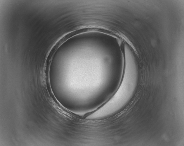 X0000083661068200702121210