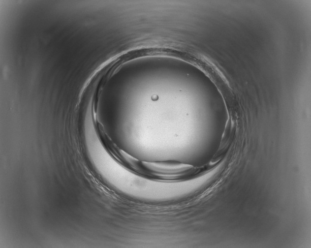 X0000083661069200702121210