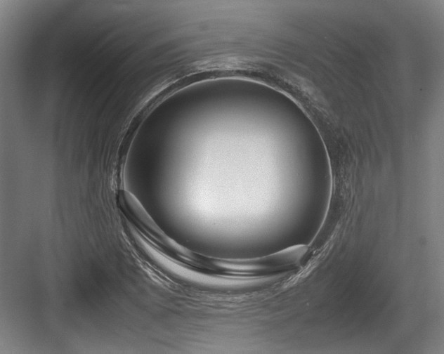 X0000083661073200702121210