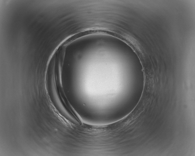 X0000083661076200702121210