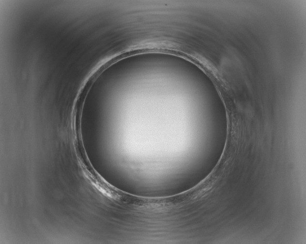 X0000083661078200702121210