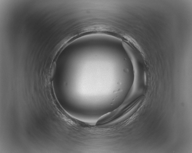 X0000083661081200702121210