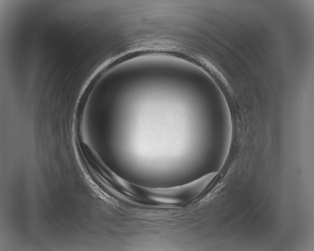 X0000083661085200702121209