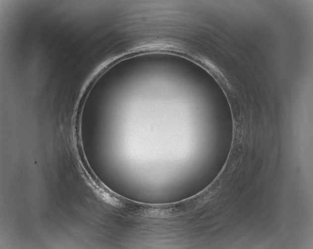 X0000083661086200702121209