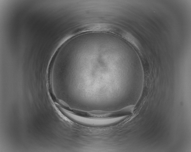 X0000083661087200702121209