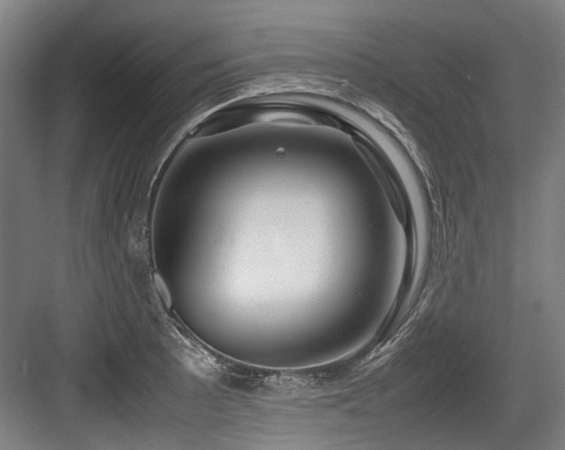 X0000083661089200702121209