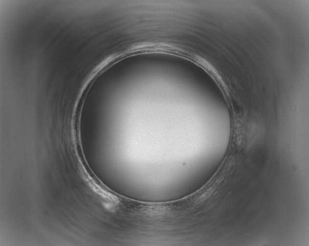 X0000083661090200702121209
