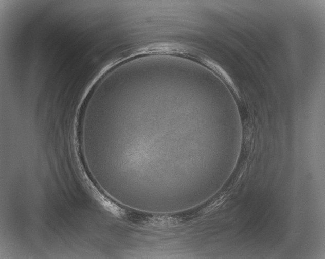 X0000083661091200702121209