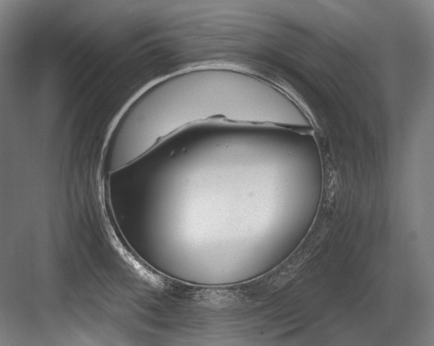 X0000083661092200702121209